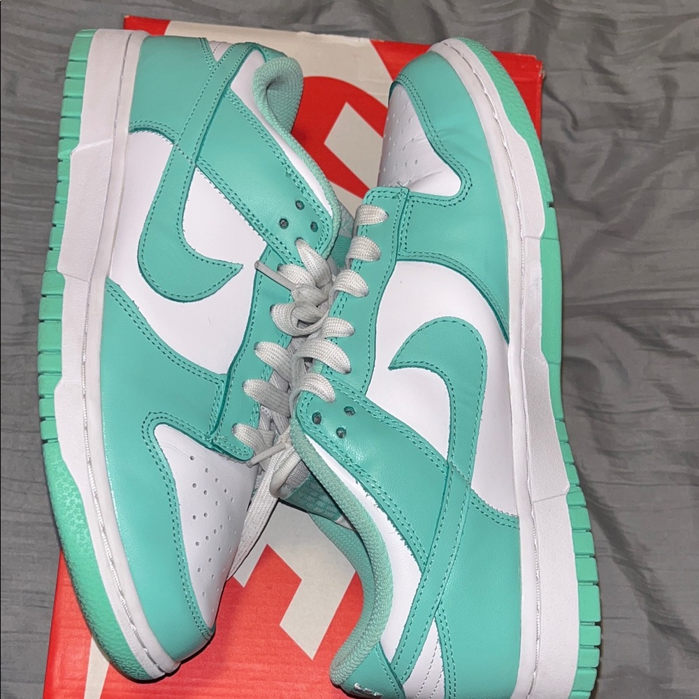 Nike Dunk Low Aqua and White Shoes